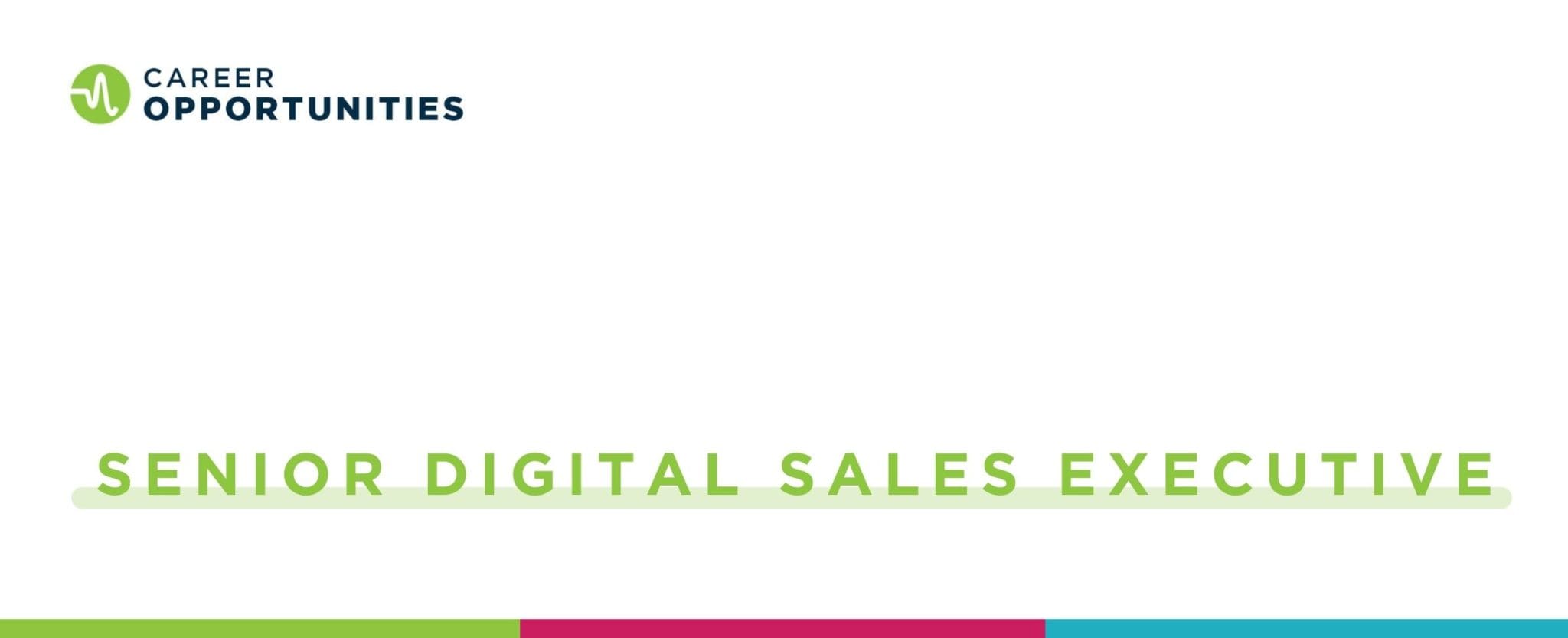 Senior Digital Sales Executive