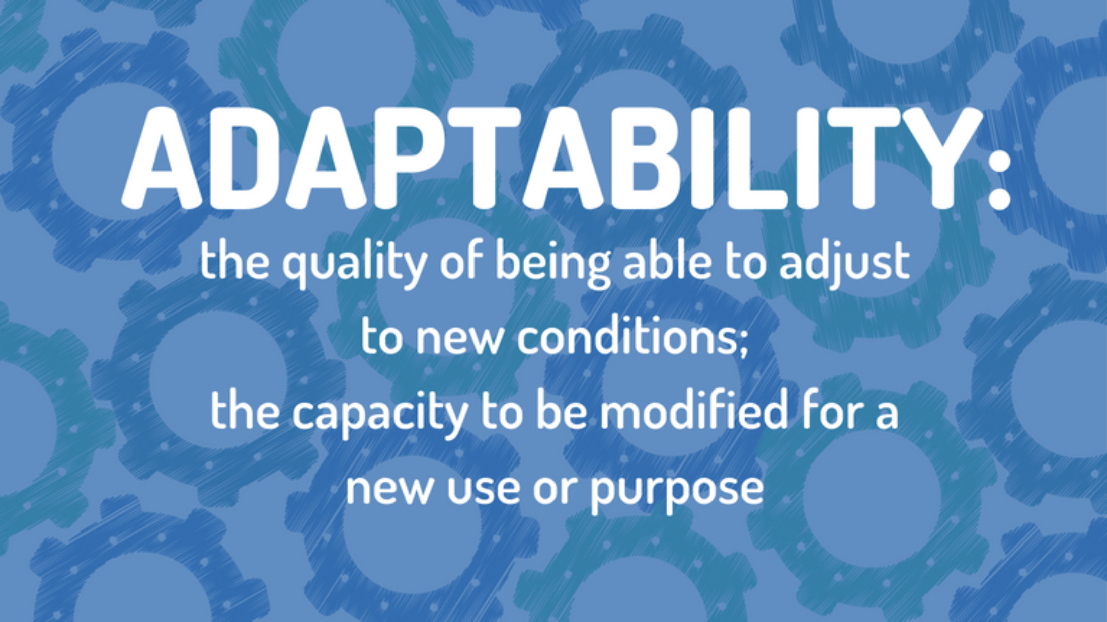 The Importance Of Adaptability Amplified Digital Agency