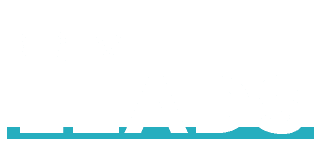 Drive Leads Logo